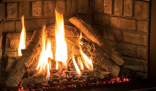 Enviro EX35 Gas Fireplace Insert IPI - Direct Vent