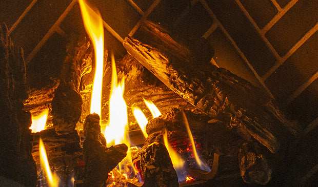 Enviro Q2 Traditional Gas Fireplace IPI - Direct Vent